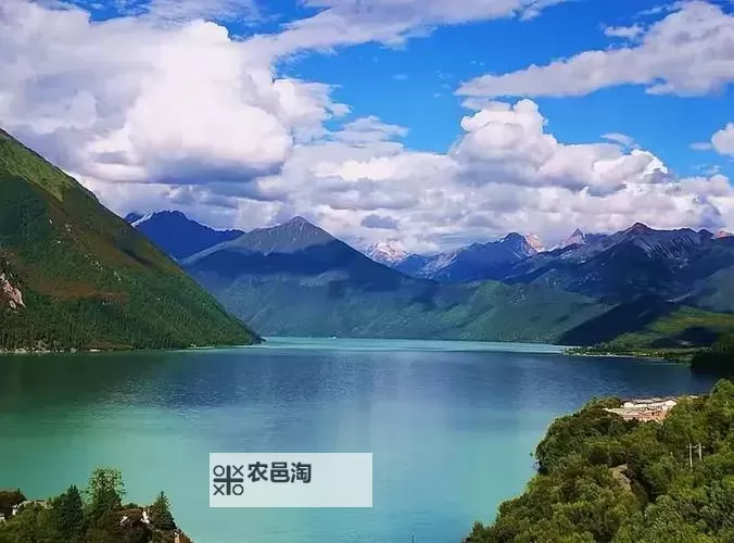 又大又长又租高湖:雾海深处的旅人传说图1