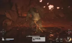 《黑神话悟空》疯虎打法攻略 疯虎怎么打